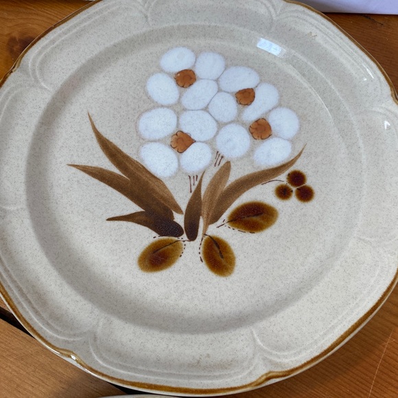 Hearthside Dining Vintage Hand Painted Stoneware Plates Castlewood